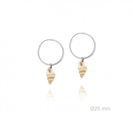 Boucles d'oreilles en Argent