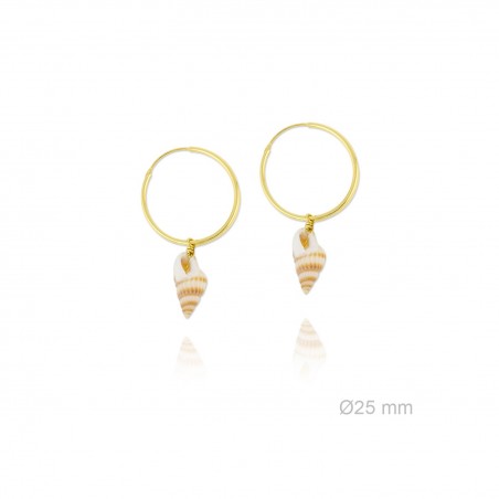 Boucles d'oreilles en Argent