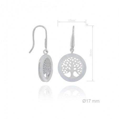 Boucles d'oreilles en Argent