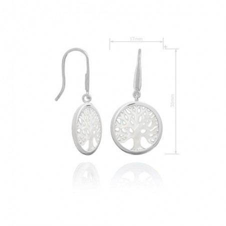 Boucles d'oreilles en Argent