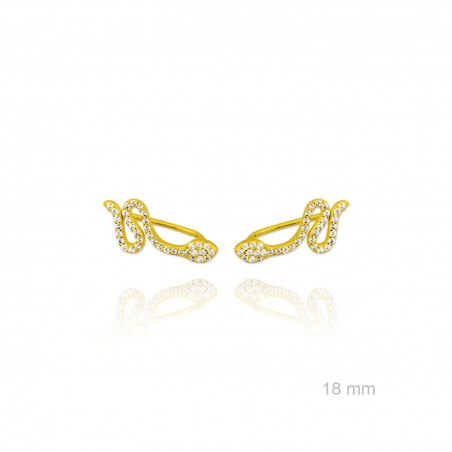 Grimpeurs d'oreille en Argent