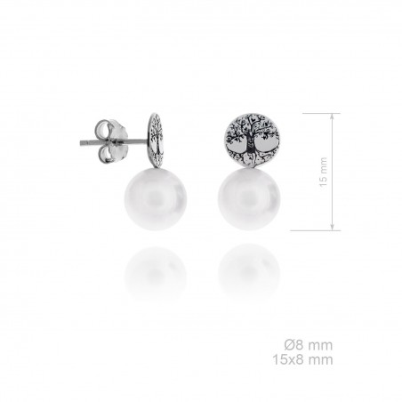 Boucles d'oreilles en Argent