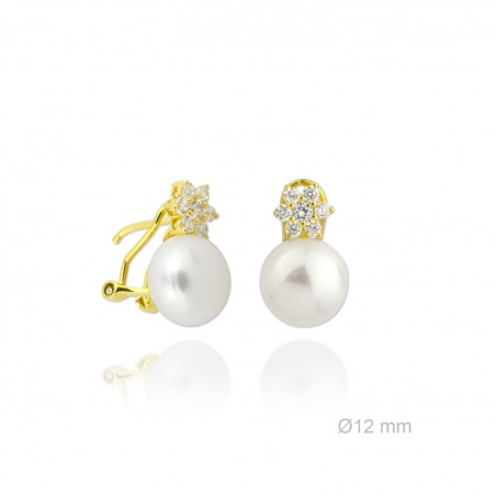 Boucles d'oreilles en Argent