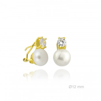 Boucles d'oreilles en Argent