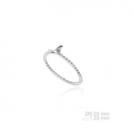 Anel de Prata Esterlina