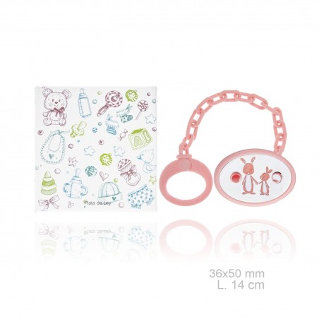 Silver Pacifier with resin clip