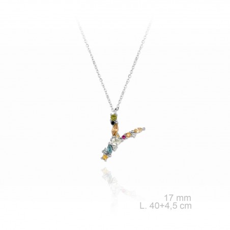 Garg. Inicial cir.color NAME "Y"